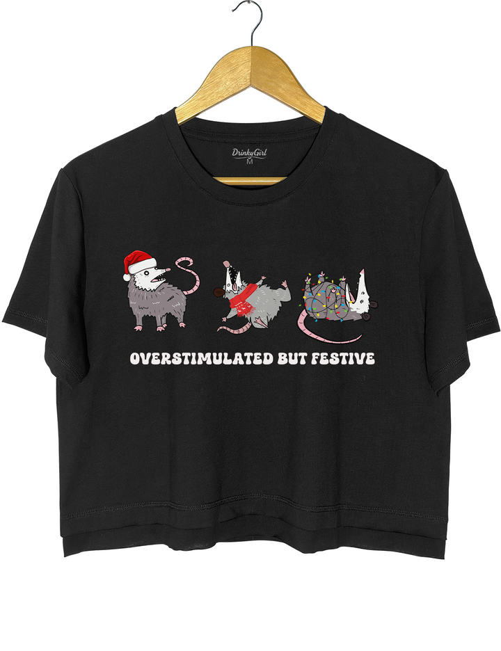 Overstimulated But Festive Possum Christmas