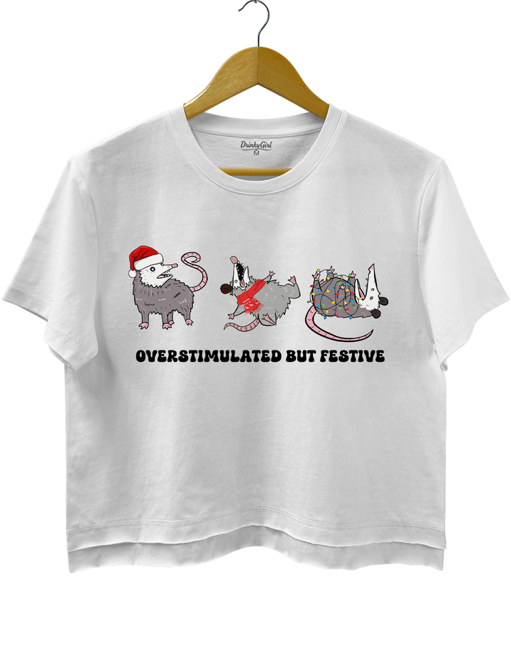 Overstimulated But Festive Possum Christmas