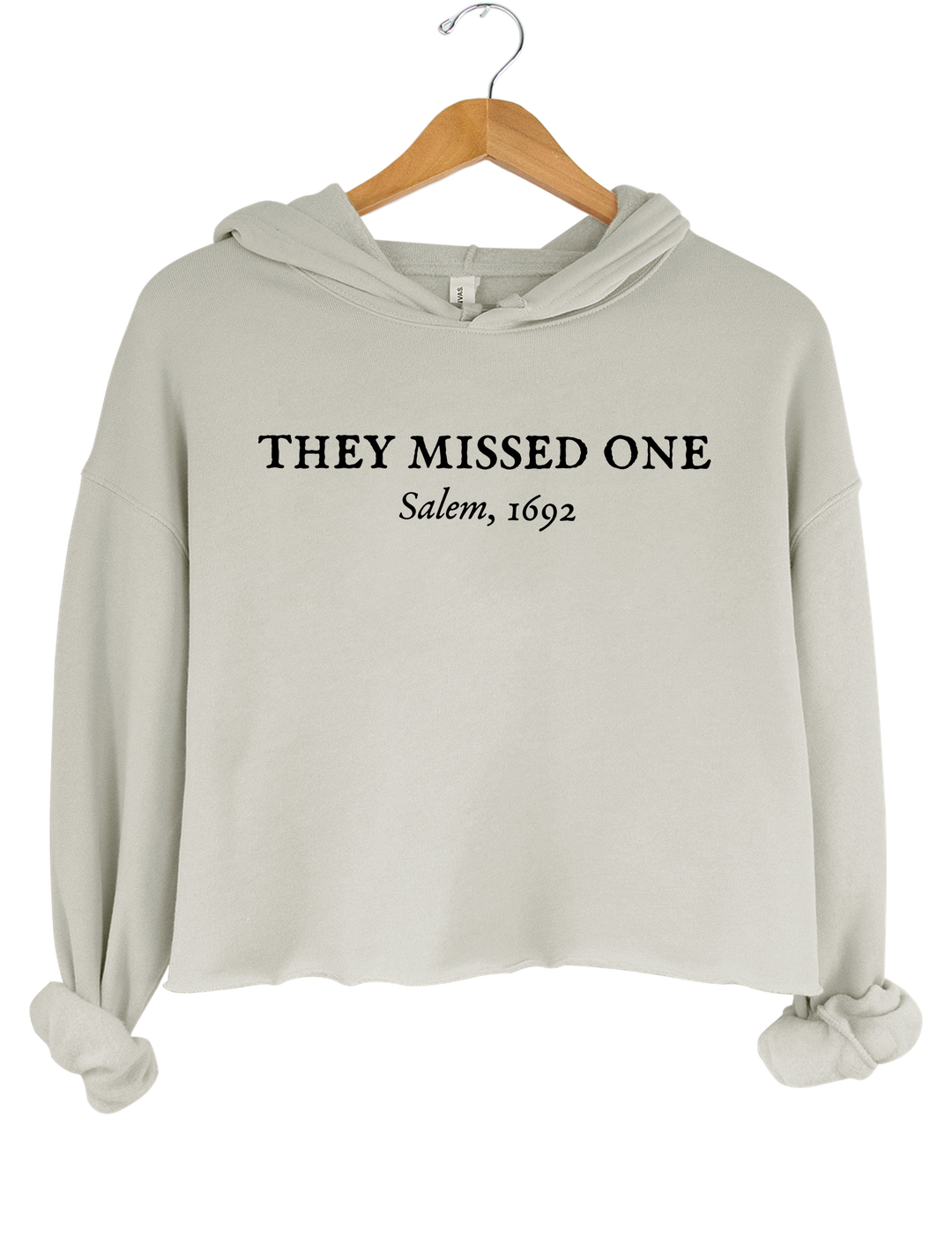 They Missed One Salem 1692 Crop Hoodie - Gray