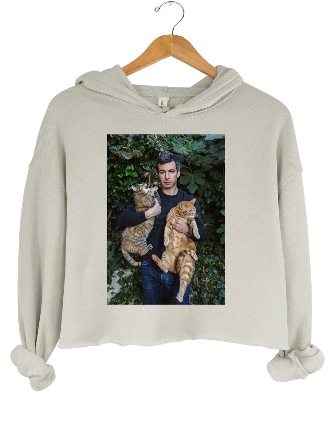 Nathan And His Kitties Crop Hoodie - Gray