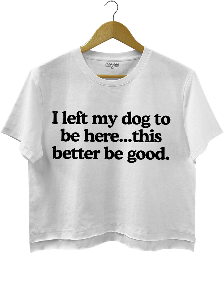 I Left My Dog To Be Here This Better Be Good Tee