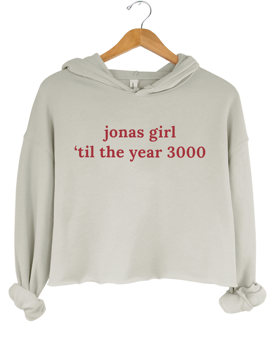 Jonas Girl Til Year 3000 Crop Hoodie - Gray
