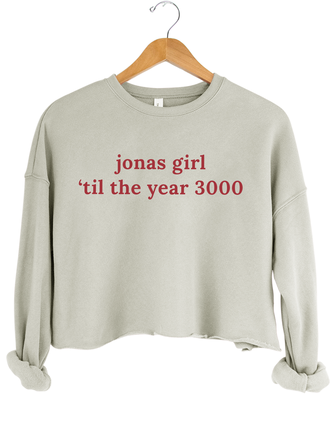 Jonas Girl Til Year 3000 Crop Sweatshirt - Gray