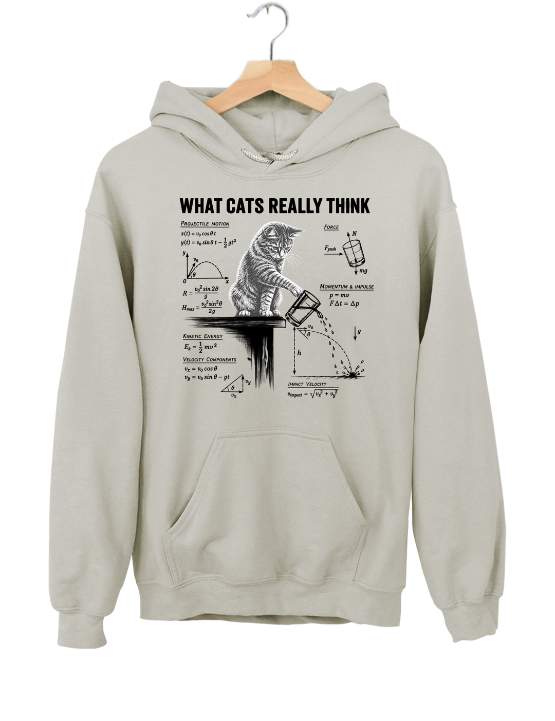 What Cats Really Think Hoodie - Gray