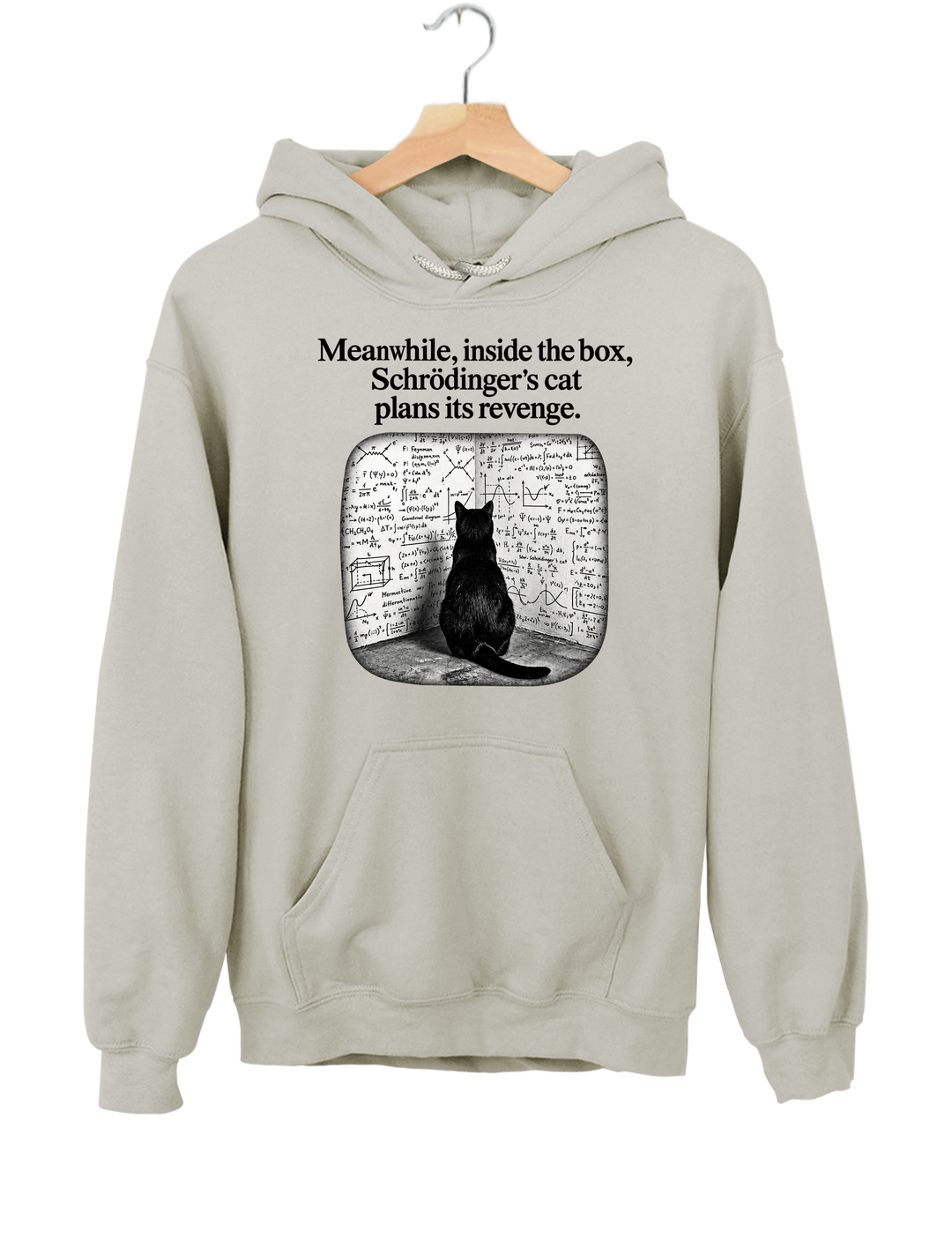 Schrödinger Cat Hoodie - Gray
