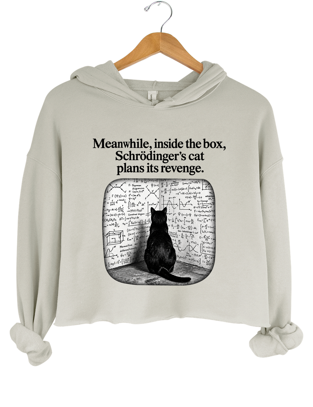 Schrödinger Cat Crop Hoodie - Gray