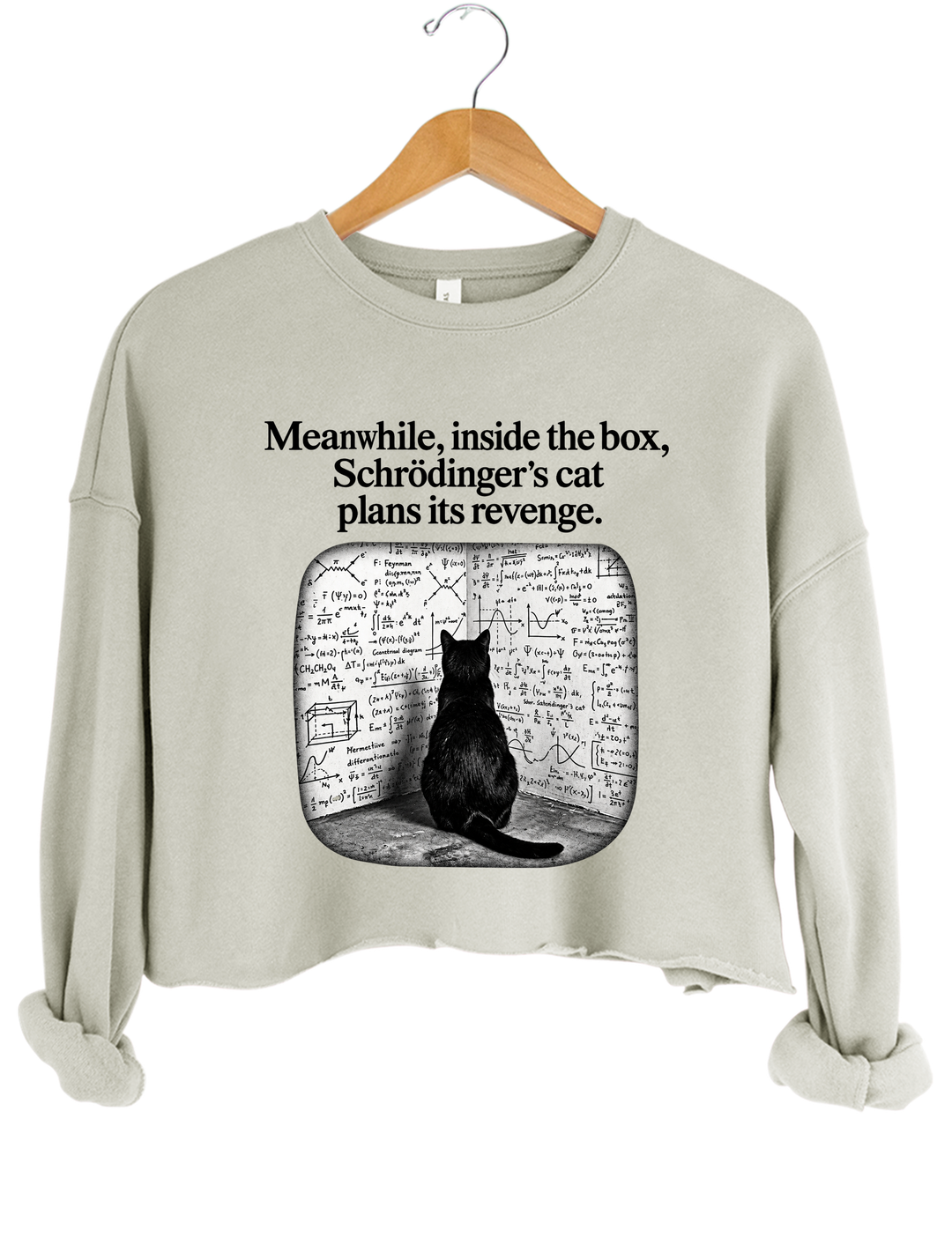 Schrödinger Cat Crop Sweatshirt - Gray