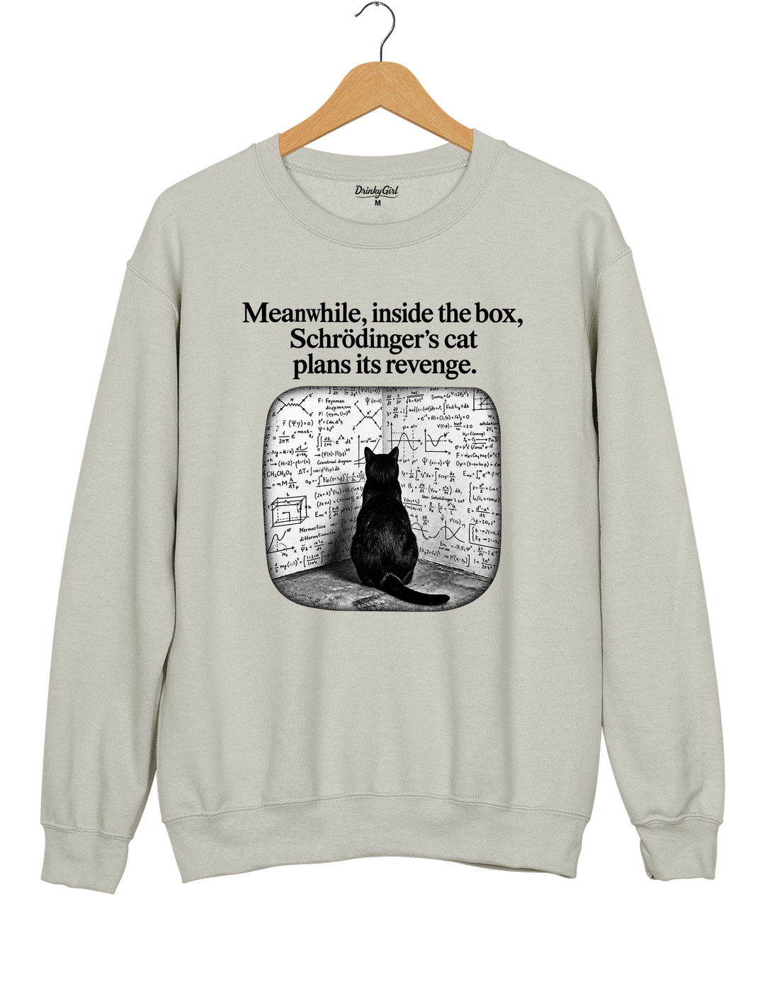 Schrödinger Cat Sweatshirt - Gray