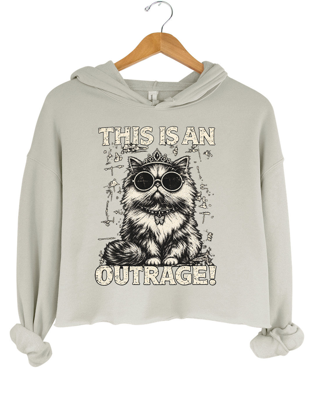 This Is an Outrage Princess Donut Vintage Cat Crop Hoodie - Gray