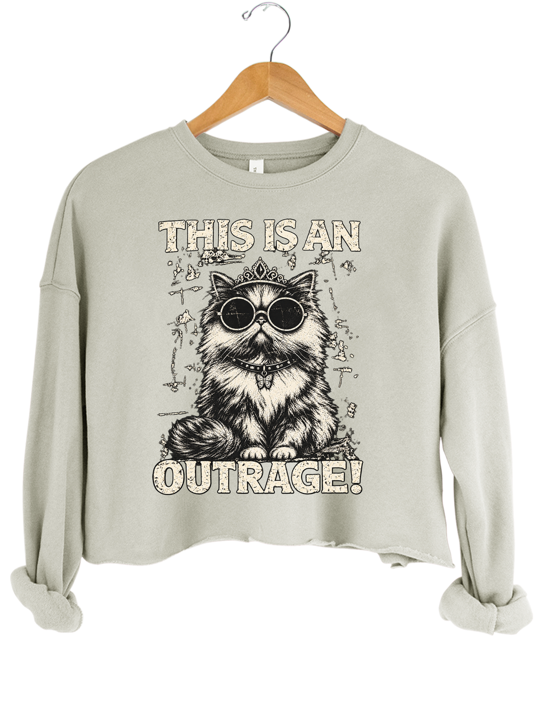 This Is an Outrage Princess Donut Vintage Cat Crop Sweatshirt - Gray