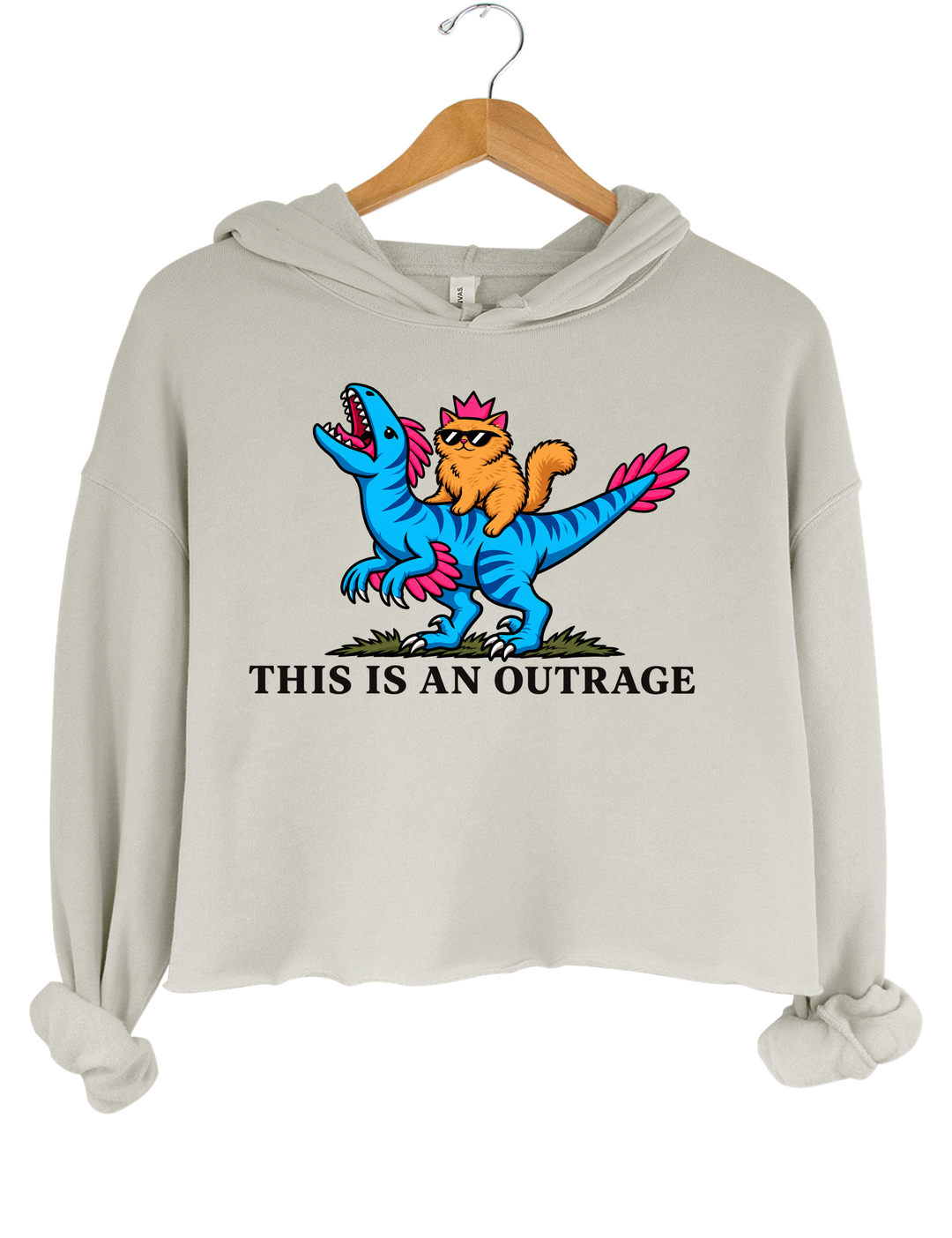 This Is an Outrage Princess Donut Riding Mongo Crop Hoodie - Gray