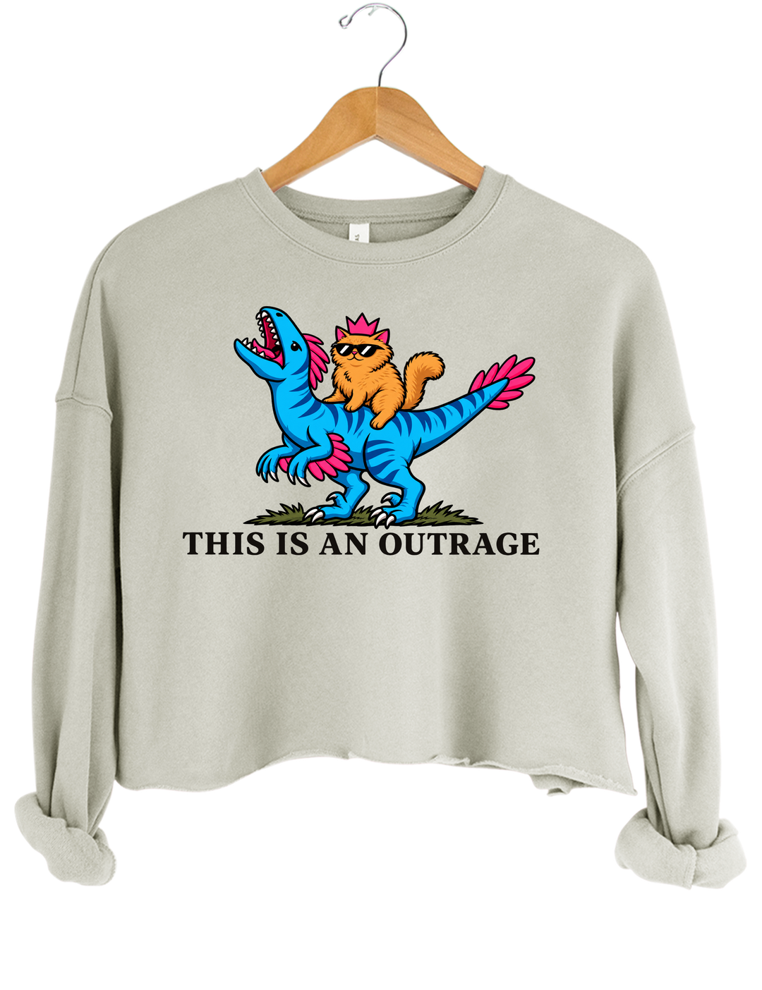 This Is an Outrage Princess Donut Riding Mongo Crop Sweatshirt - Gray