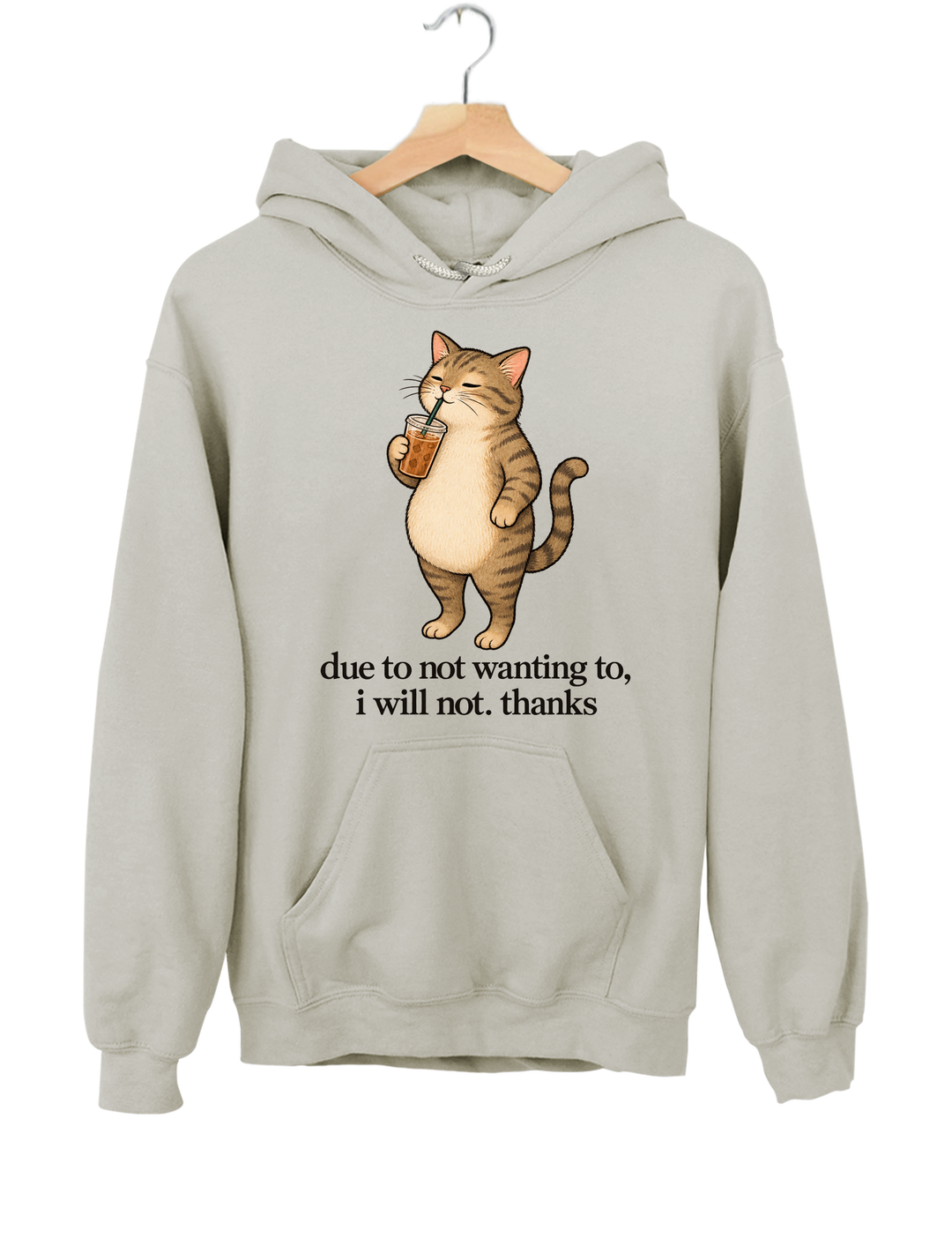 Due to Not Wanting To I Will Not Thanks Iced Coffee Cat Hoodie - Gray