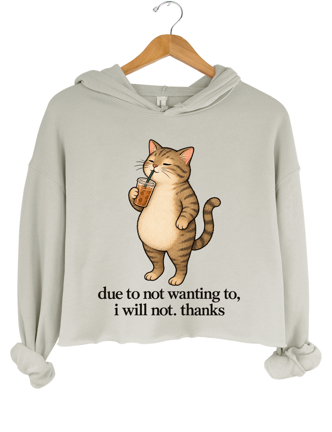 Due to Not Wanting To I Will Not Thanks Iced Coffee Cat Crop Hoodie - Gray