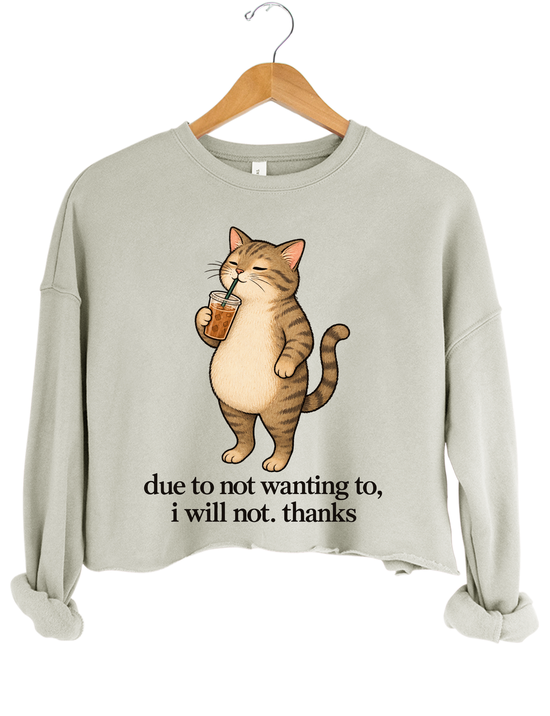 Due to Not Wanting To I Will Not Thanks Iced Coffee Cat Crop Sweatshirt - Gray