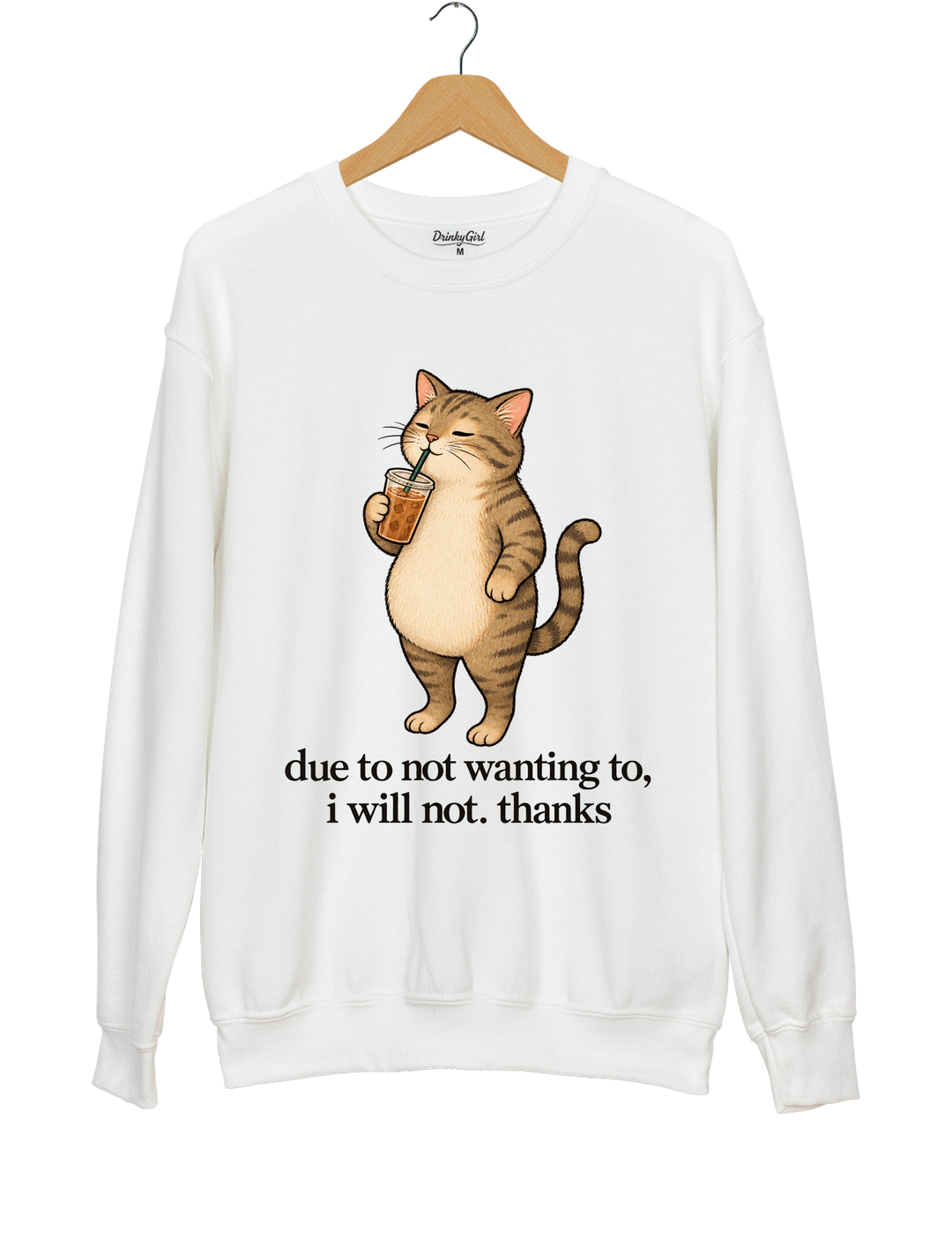 Due to Not Wanting To I Will Not Thanks Iced Coffee Cat Sweatshirt - White