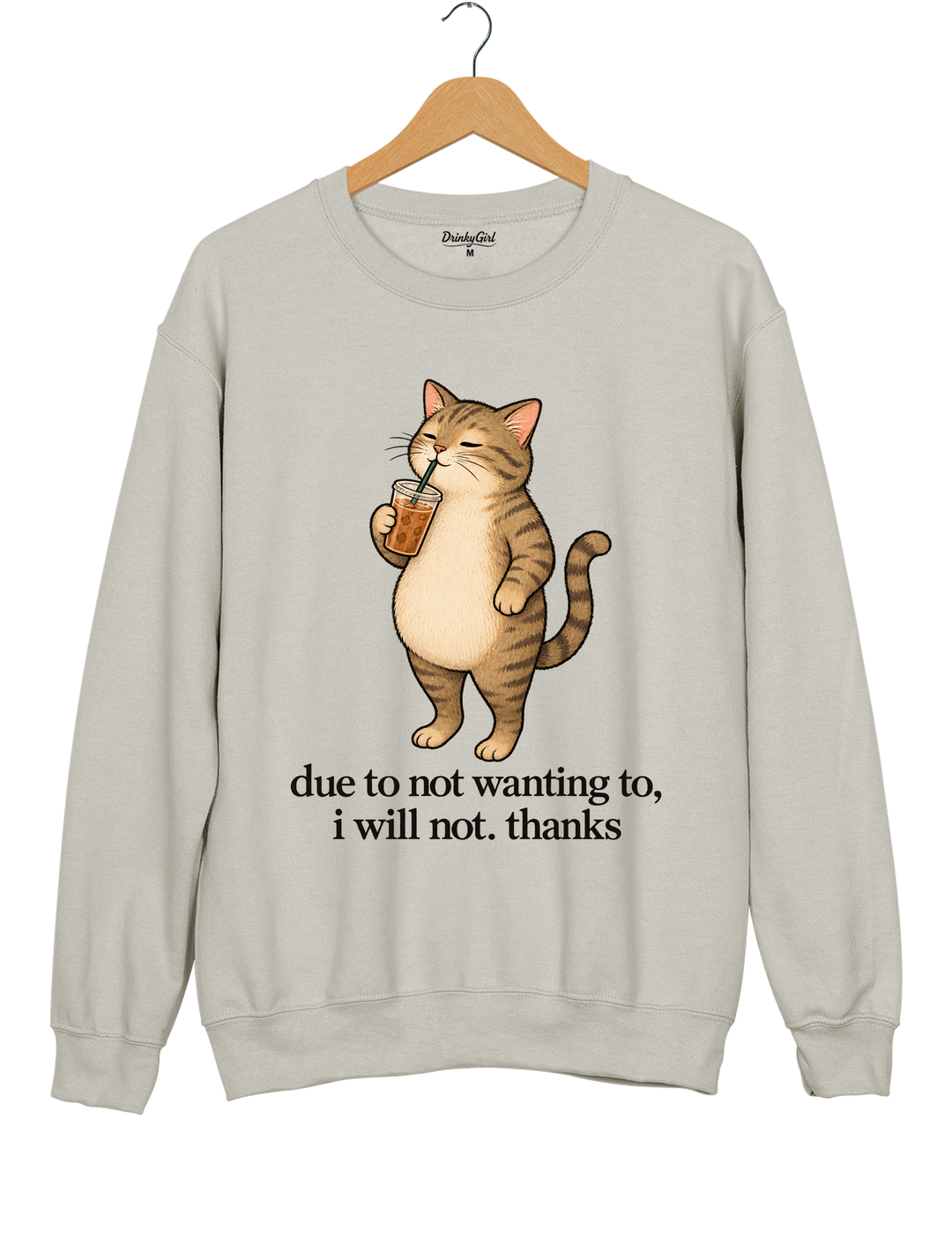 Due to Not Wanting To I Will Not Thanks Iced Coffee Cat Sweatshirt - Gray